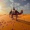 Sahara Bedouin camp
