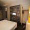 Ibis Teresina