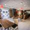 Ibis Teresina
