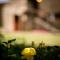 Borgo Al Teto Il Gelso