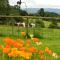 Smithfield Farm Bed & Breakfast - Builth Wells