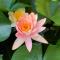 B&B Beauty House - Jacuzzi - Giardino privato