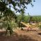 Finca Lliber