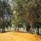 Las Aguilas alojamiento