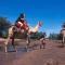 Samburu Intrepids Tented Camp