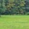 5 person holiday home in Otterup