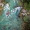 Rafting Blue River Tara - Šćepan-Polje