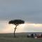 Mara Intrepids Tented Camp - Talek