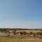 Mara Intrepids Tented Camp