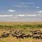 Mara Intrepids Tented Camp