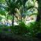 Baan Pitcha บ้านพิชชา