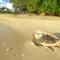 Sails Beach House