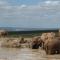 Silos Guesthouse - Travel Addo Group