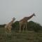 Silos Guesthouse - Travel Addo Group