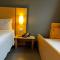 ibis Catalao