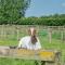 Hayloft- Uk31532
