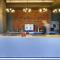ibis Styles Arad