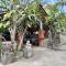 BB Homestay Two