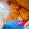 GLAMPING ASTRODOME EN PACHO