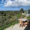 Kyrenia center, entire house, bungalowA3, price performance