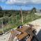 Kyrenia center, entire house, bungalowA3, price performance