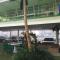 Caribbean Motel