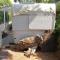 CaravanaStar