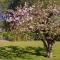 8 person holiday home in LERUM