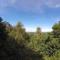 Durbuy Forest Villa with Pool
