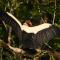Esquipulas Rainforest