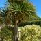 Brook Cottage-Uk44378