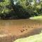 Pigeon River Inn