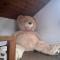 Honey Bear Pension