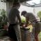Wattarantanne homestay
