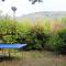 Provence, Piscine, proche dOrange, Gorges de lArdèche, Mont Ventoux