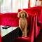 Montgomery Inn BnB