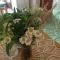 Eco Garten Guest House