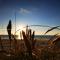 Luxury Dunes Retreat-By Traum