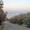 B&B Monterosso