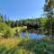 Waldfee