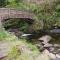 Waldfee