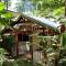 Daintree Secrets Rainforest Sanctuary