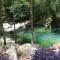 Daintree Secrets Rainforest Sanctuary