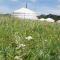 My Mongolia Eco Ger Camp - Nalayh My Mongolia Eco Ger Camp - Nalayh