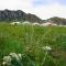 My Mongolia Eco Ger Camp