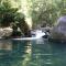 Daintree Secrets Rainforest Sanctuary