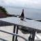 Beautiful View 1 - Arco da Calheta - Ilha da Madeira