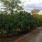 Vineyard Cottage BnB