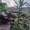 Kalimera A Lovely 1-bedroom rental with ensuite and Kitchen
