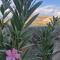 Kalimera A Lovely 1-bedroom rental with ensuite and Kitchen